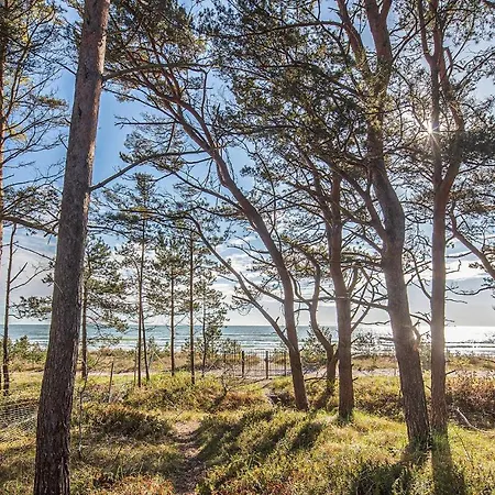 Prora Solitaire Avida Loft 2 * Binz